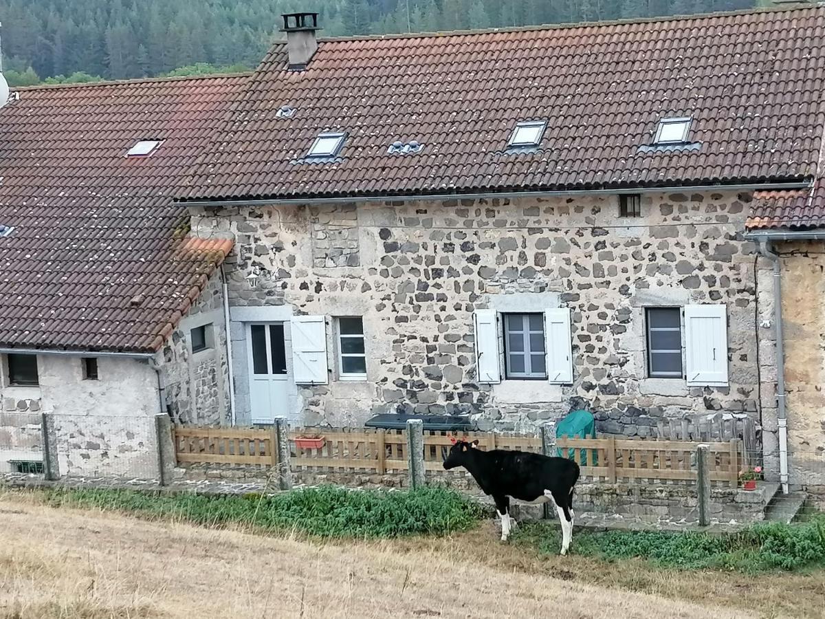 Gite A La Ferme Le Malzieu-Ville Exterior photo