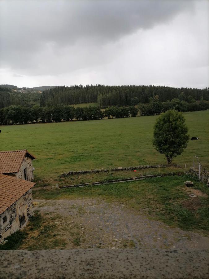 Gite A La Ferme Le Malzieu-Ville Exterior photo